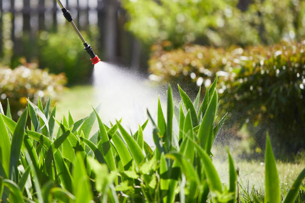 24/7 Emergency Fumigation Services experts in Dubuque, IA
