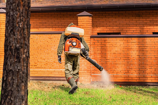 Trusted Emergency Pest Control service in Dubuque, IA - Nex Pest Control